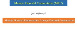 Manejo Florestal Comunitário (MFC)
Qual a diferença?
Manejo Florestal Empresarial x Manejo Florestal Comunitário
 
