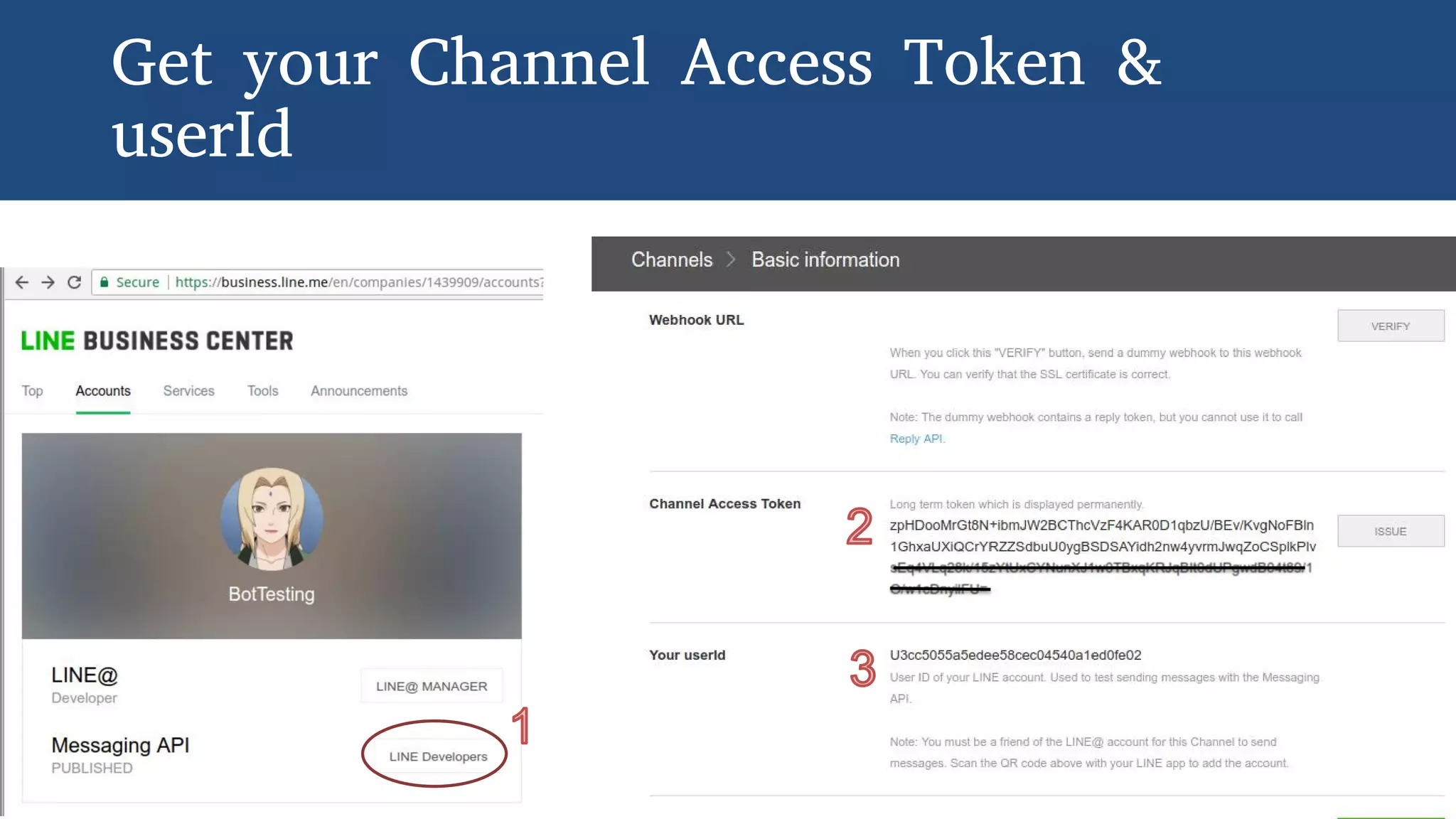Get your Channel Access Token &
userId
 