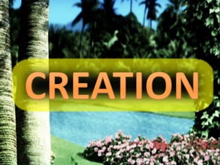 CREATION 