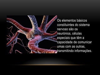 • Os elementos básicos
constituintes do sistema
nervoso são os
neurónios, células
especiais que têm a
capacidade de comunicar
umas com as outras,
transmitindo informações.
 