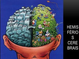 HEMIS
FÉRIO
S
CERE
BRAIS
 