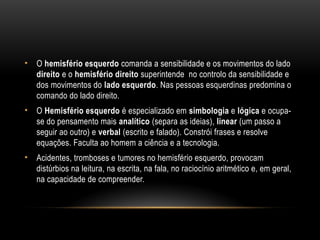 • O hemisfério esquerdo comanda a sensibilidade e os movimentos do lado
direito e o hemisfério direito superintende no controlo da sensibilidade e
dos movimentos do lado esquerdo. Nas pessoas esquerdinas predomina o
comando do lado direito.
• O Hemisfério esquerdo é especializado em simbologia e lógica e ocupa-
se do pensamento mais analítico (separa as ideias), linear (um passo a
seguir ao outro) e verbal (escrito e falado). Constrói frases e resolve
equações. Faculta ao homem a ciência e a tecnologia.
• Acidentes, tromboses e tumores no hemisfério esquerdo, provocam
distúrbios na leitura, na escrita, na fala, no raciocínio aritmético e, em geral,
na capacidade de compreender.
 