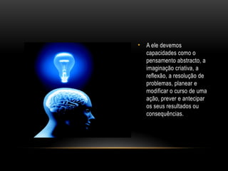 • A ele devemos
capacidades como o
pensamento abstracto, a
imaginação criativa, a
reflexão, a resolução de
problemas, planear e
modificar o curso de uma
ação, prever e antecipar
os seus resultados ou
consequências.
 