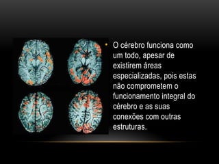 • O cérebro funciona como
um todo, apesar de
existirem áreas
especializadas, pois estas
não comprometem o
funcionamento integral do
cérebro e as suas
conexões com outras
estruturas.
 