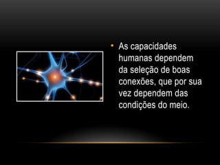 • As capacidades
humanas dependem
da seleção de boas
conexões, que por sua
vez dependem das
condições do meio.
 