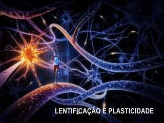 LENTIFICAÇÃO E PLASTICIDADE
 