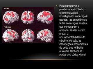 • Para comprovar a
plasticidade do cérebro
foram realizadas
investigações com cegos
adultos, as experiências
feitas com cegos adultos
que começaram a
aprender Braille vieram
provar a
neuroadaptabilidade do
cérebro, ou seja, as
informações provenientes
do dedo que lê Braille
ativavam também as
partes dos córtex visual.
 