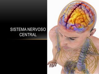 SISTEMA NERVOSO
CENTRAL
 