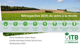 Pierre Houdmon, Cedric Royer,
Comité technique Centre-Val de Loire
18 décembre 2019
Rétrospective 2019, du semis à la récolte
 