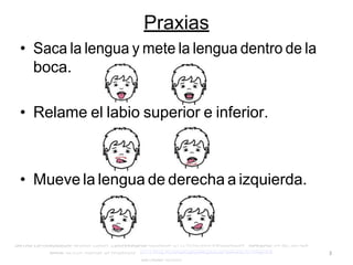 3
Praxias
• Saca la lengua y mete la lengua dentro de la
boca.
• Relame el labio superior e inferior.
• Mueve la lengua de derecha a izquierda.
 