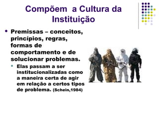 Compõem a Cultura da
Instituição
 Premissas – conceitos,
princípios, regras,
formas de
comportamento e de
solucionar problemas.
 Elas passam a ser
institucionalizadas como
a maneira certa de agir
em relação a certos tipos
de problema. (Schein,1984)
 