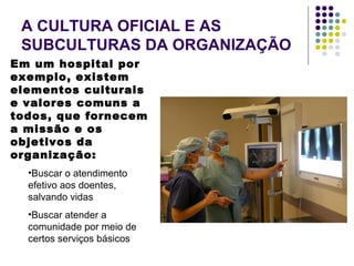 A CULTURA OFICIAL E AS
SUBCULTURAS DA ORGANIZAÇÃO
Em um hospital por
exemplo, existem
elementos culturais
e valores comuns a
todos, que fornecem
a missão e os
objetivos da
organização:
•Buscar o atendimento
efetivo aos doentes,
salvando vidas
•Buscar atender a
comunidade por meio de
certos serviços básicos
 