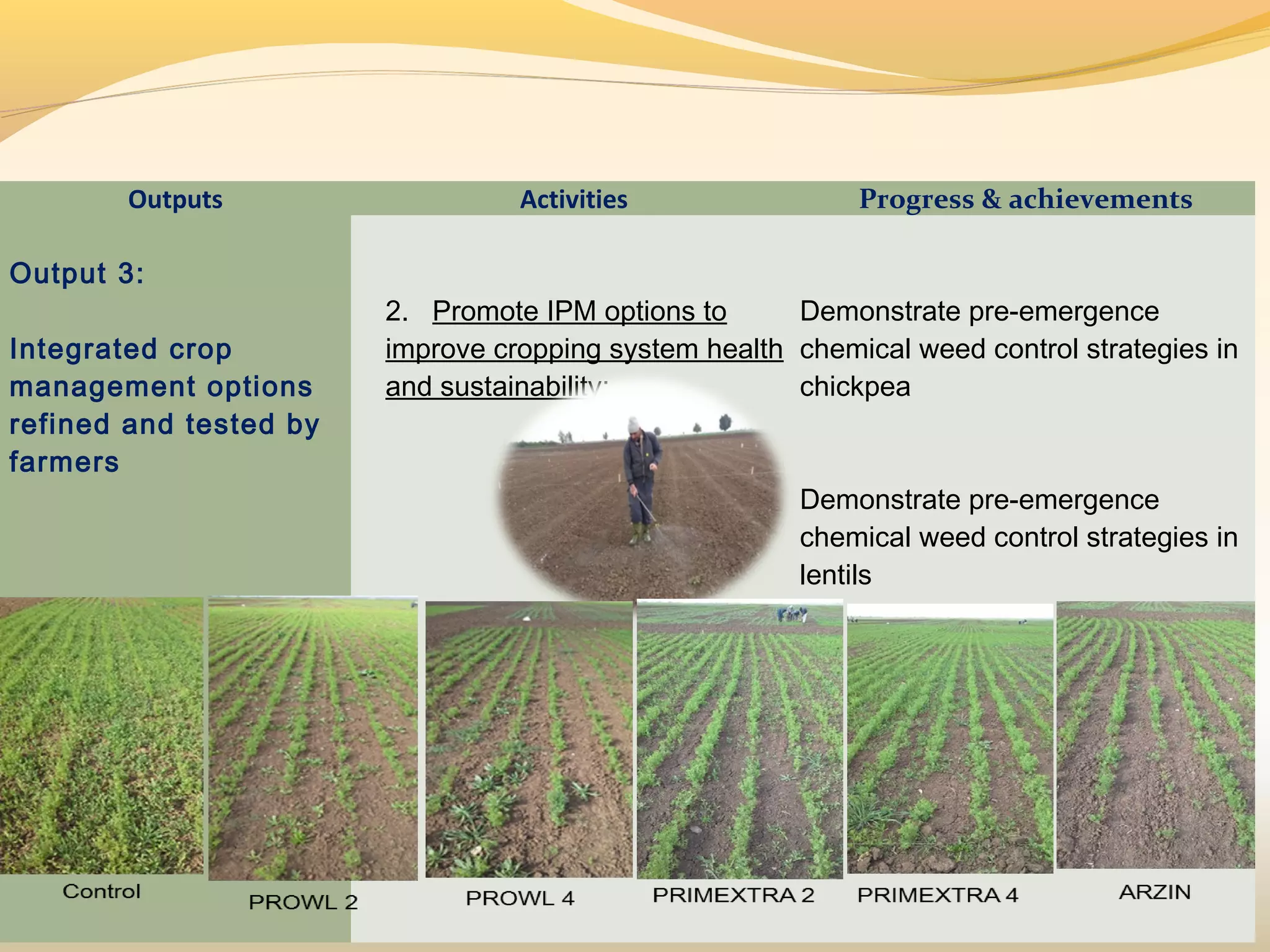 Outputs Activities Progress & achievements
Output 3:
 
Integrated crop
management options
refined and tested by
farmers
2. Promote IPM options to
improve cropping system health
and sustainability;
Demonstrate pre-emergence
chemical weed control strategies in
chickpea
 
Demonstrate pre-emergence
chemical weed control strategies in
lentils
 