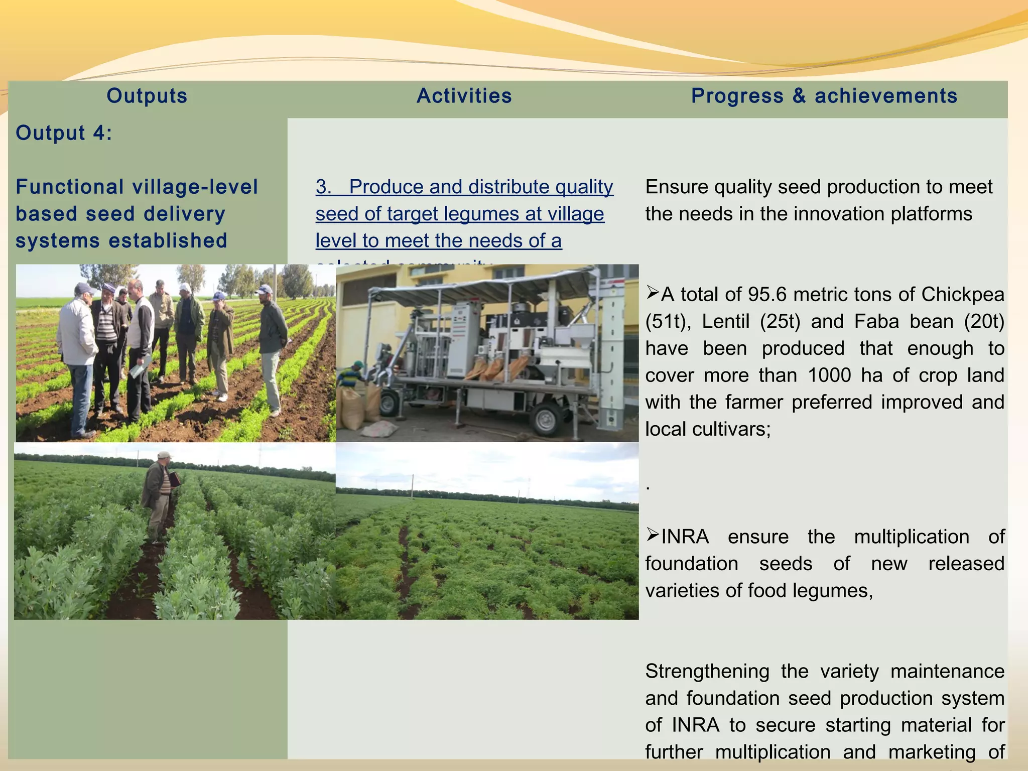 Outputs Activities Progress & achievements
Output 4:
 
Functional village-level
based seed delivery
systems established
 
3. Produce and distribute quality
seed of target legumes at village
level to meet the needs of a
selected community.
Ensure quality seed production to meet
the needs in the innovation platforms
 
 
A total of 95.6 metric tons of Chickpea
(51t), Lentil (25t) and Faba bean (20t)
have been produced that enough to
cover more than 1000 ha of crop land
with the farmer preferred improved and
local cultivars;
.
INRA ensure the multiplication of
foundation seeds of new released
varieties of food legumes,
Strengthening the variety maintenance
and foundation seed production system
of INRA to secure starting material for
further multiplication and marketing of
 