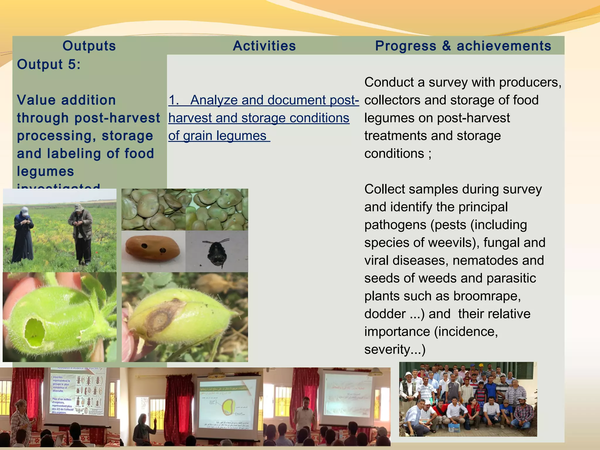 Outputs Activities Progress & achievements
Output 5:
 
Value addition
through post-harvest
processing, storage
and labeling of food
legumes
investigated
 
1. Analyze and document post-
harvest and storage conditions
of grain legumes
Conduct a survey with producers,
collectors and storage of food
legumes on post-harvest
treatments and storage
conditions ;
 
Collect samples during survey
and identify the principal
pathogens (pests (including
species of weevils), fungal and
viral diseases, nematodes and
seeds of weeds and parasitic
plants such as broomrape,
dodder ...) and their relative
importance (incidence,
severity...)
 