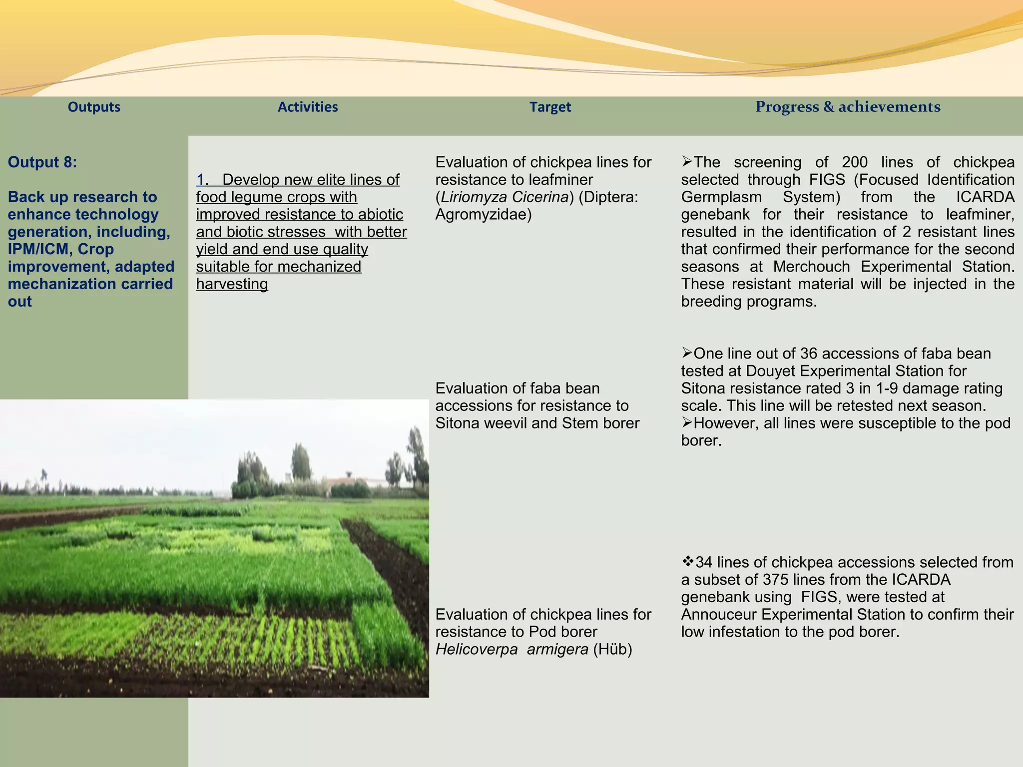 Outputs Activities Target Progress & achievements
Output 8:
Back up research to
enhance technology
generation, including,
IPM/ICM, Crop
improvement, adapted
mechanization carried
out
1. Develop new elite lines of
food legume crops with
improved resistance to abiotic
and biotic stresses with better
yield and end use quality
suitable for mechanized
harvesting
Evaluation of chickpea lines for
resistance to leafminer
(Liriomyza Cicerina) (Diptera:
Agromyzidae)
Evaluation of faba bean
accessions for resistance to
Sitona weevil and Stem borer
Evaluation of chickpea lines for
resistance to Pod borer
Helicoverpa armigera (Hüb)
The screening of 200 lines of chickpea
selected through FIGS (Focused Identification
Germplasm System) from the ICARDA
genebank for their resistance to leafminer,
resulted in the identification of 2 resistant lines
that confirmed their performance for the second
seasons at Merchouch Experimental Station.
These resistant material will be injected in the
breeding programs.
One line out of 36 accessions of faba bean
tested at Douyet Experimental Station for
Sitona resistance rated 3 in 1-9 damage rating
scale. This line will be retested next season.
However, all lines were susceptible to the pod
borer.
34 lines of chickpea accessions selected from
a subset of 375 lines from the ICARDA
genebank using FIGS, were tested at
Annouceur Experimental Station to confirm their
low infestation to the pod borer.
 