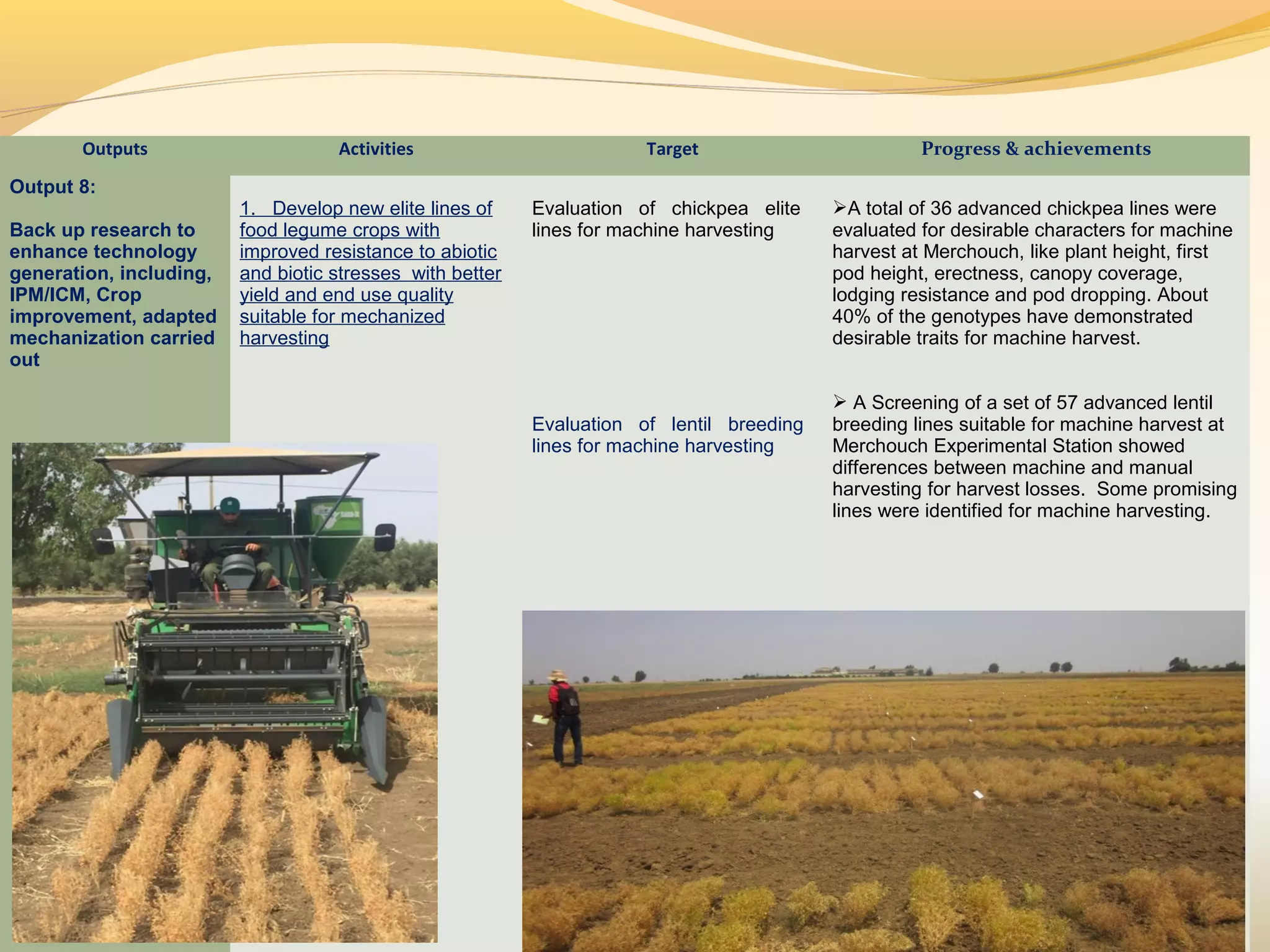 Outputs Activities Target Progress & achievements
Output 8:
Back up research to
enhance technology
generation, including,
IPM/ICM, Crop
improvement, adapted
mechanization carried
out
1. Develop new elite lines of
food legume crops with
improved resistance to abiotic
and biotic stresses with better
yield and end use quality
suitable for mechanized
harvesting
Evaluation of chickpea elite
lines for machine harvesting
Evaluation of lentil breeding
lines for machine harvesting
A total of 36 advanced chickpea lines were
evaluated for desirable characters for machine
harvest at Merchouch, like plant height, first
pod height, erectness, canopy coverage,
lodging resistance and pod dropping. About
40% of the genotypes have demonstrated
desirable traits for machine harvest.
 A Screening of a set of 57 advanced lentil
breeding lines suitable for machine harvest at
Merchouch Experimental Station showed
differences between machine and manual
harvesting for harvest losses. Some promising
lines were identified for machine harvesting.
 