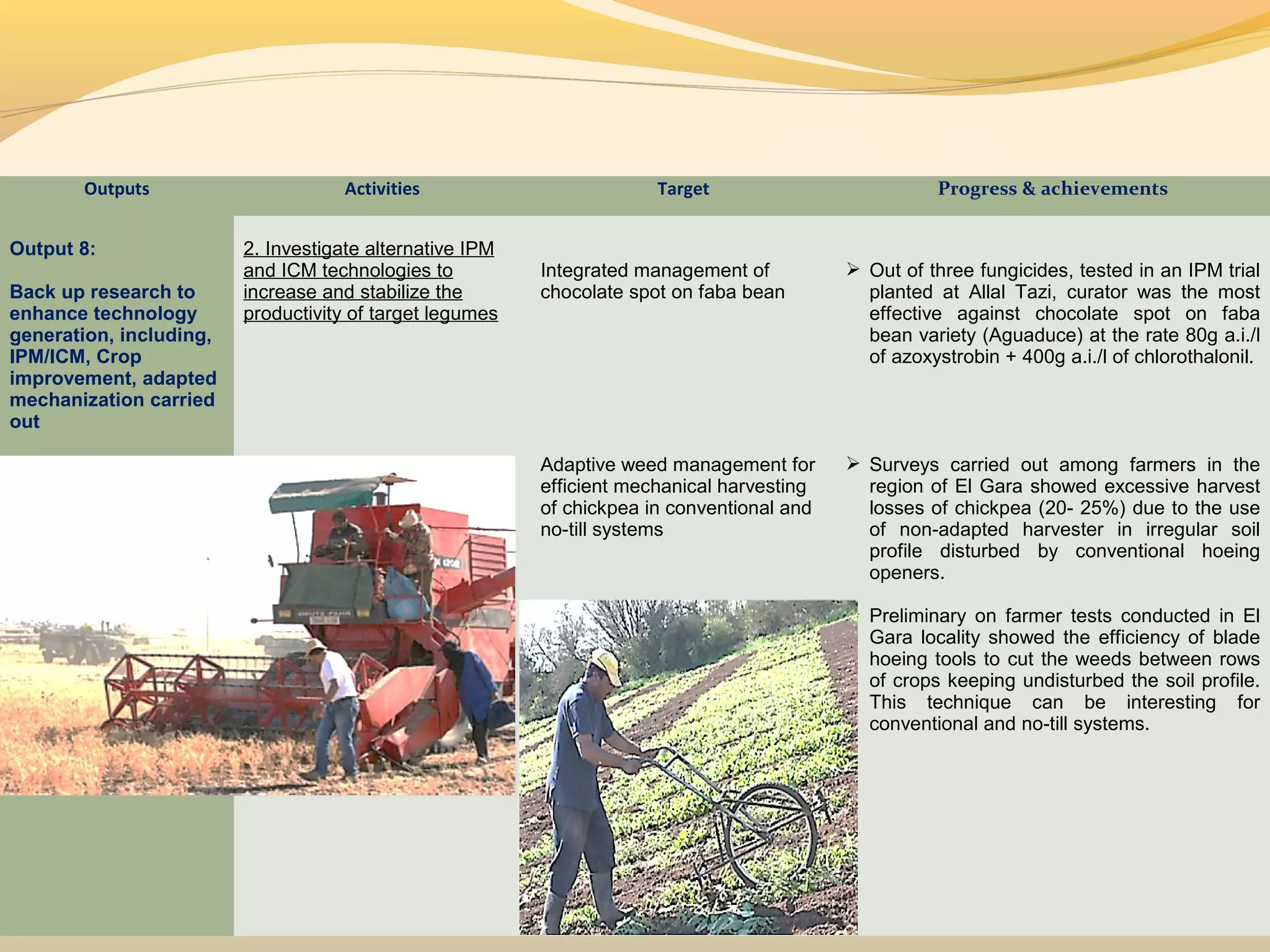 Outputs Activities Target Progress & achievements
Output 8:
Back up research to
enhance technology
generation, including,
IPM/ICM, Crop
improvement, adapted
mechanization carried
out
2. Investigate alternative IPM
and ICM technologies to
increase and stabilize the
productivity of target legumes
Integrated management of
chocolate spot on faba bean
Adaptive weed management for
efficient mechanical harvesting
of chickpea in conventional and
no-till systems
 Out of three fungicides, tested in an IPM trial
planted at Allal Tazi, curator was the most
effective against chocolate spot on faba
bean variety (Aguaduce) at the rate 80g a.i./l
of azoxystrobin + 400g a.i./l of chlorothalonil.
 Surveys carried out among farmers in the
region of El Gara showed excessive harvest
losses of chickpea (20- 25%) due to the use
of non-adapted harvester in irregular soil
profile disturbed by conventional hoeing
openers.
 Preliminary on farmer tests conducted in El
Gara locality showed the efficiency of blade
hoeing tools to cut the weeds between rows
of crops keeping undisturbed the soil profile.
This technique can be interesting for
conventional and no-till systems.
 