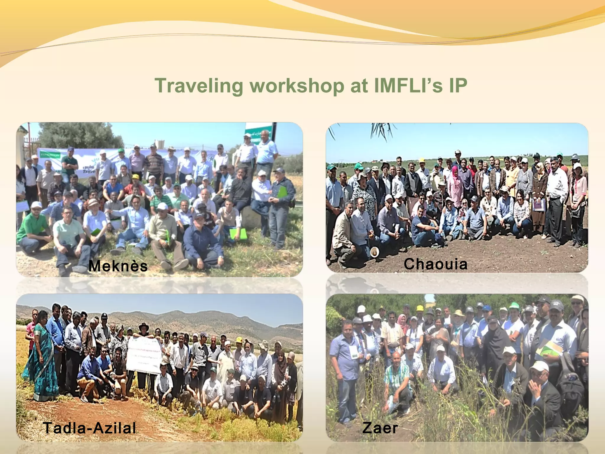 Traveling workshop at IMFLI’s IP
Tadla-Azilal
Meknès Chaouia
Zaer
 