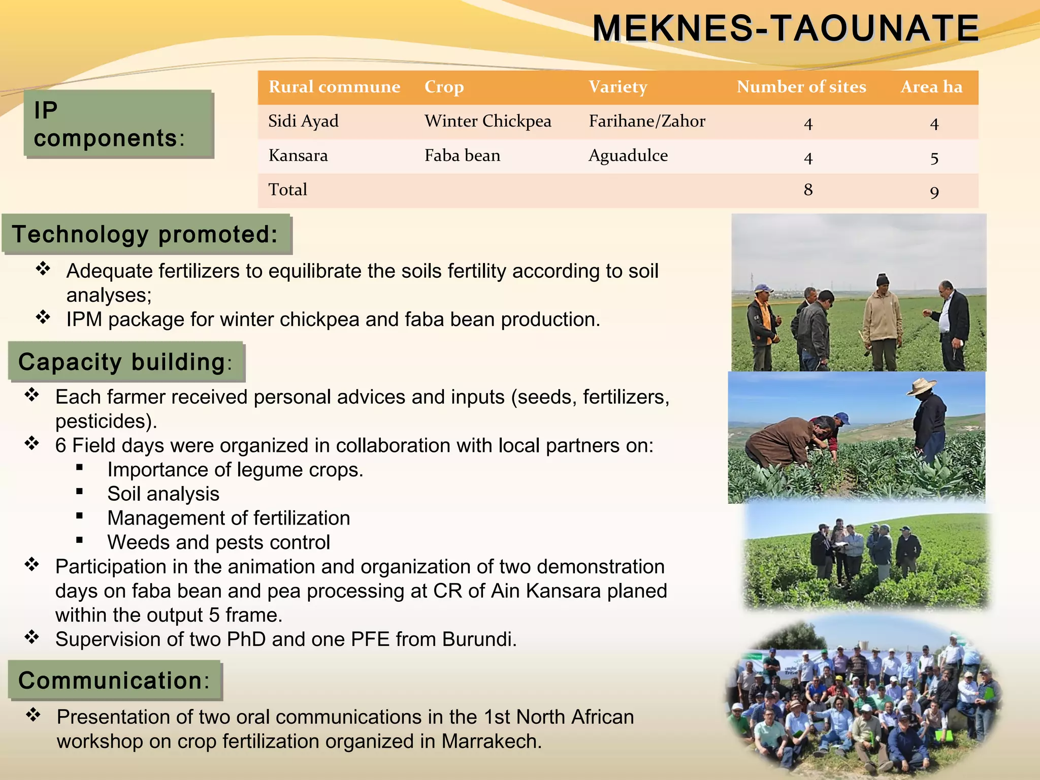  Presentation of two oral communications in the 1st North African
workshop on crop fertilization organized in Marrakech.
IP
components:
IP
components:
MEKNES-TAOUNATEMEKNES-TAOUNATE
Technology promoted:Technology promoted:
 Adequate fertilizers to equilibrate the soils fertility according to soil
analyses;
 IPM package for winter chickpea and faba bean production.
Capacity building:Capacity building:
 Each farmer received personal advices and inputs (seeds, fertilizers,
pesticides).
 6 Field days were organized in collaboration with local partners on:
 Importance of legume crops.
 Soil analysis
 Management of fertilization
 Weeds and pests control
 Participation in the animation and organization of two demonstration
days on faba bean and pea processing at CR of Ain Kansara planed
within the output 5 frame.
 Supervision of two PhD and one PFE from Burundi.
Communication:Communication:
Rural commune Crop Variety Number of sites Area ha
Sidi Ayad Winter Chickpea Farihane/Zahor 4 4
Kansara Faba bean Aguadulce 4 5
Total 8 9
 