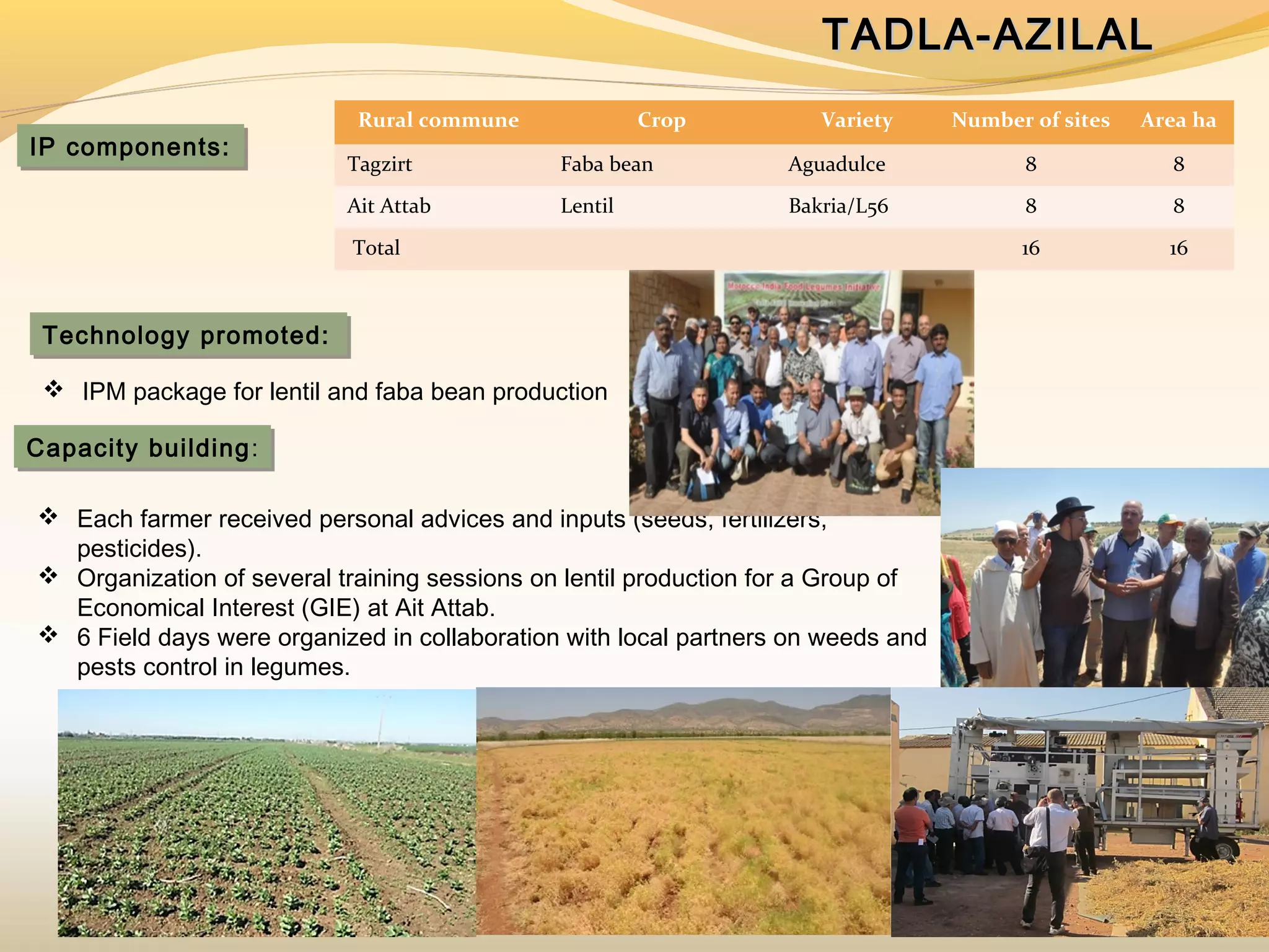  Each farmer received personal advices and inputs (seeds, fertilizers,
pesticides).
 Organization of several training sessions on lentil production for a Group of
Economical Interest (GIE) at Ait Attab.
 6 Field days were organized in collaboration with local partners on weeds and
pests control in legumes.
TADLA-AZILALTADLA-AZILAL
IP components:IP components:
Technology promoted:Technology promoted:
 IPM package for lentil and faba bean production
Capacity building:Capacity building:
Rural commune Crop Variety Number of sites Area ha
Tagzirt Faba bean Aguadulce 8 8
Ait Attab Lentil Bakria/L56 8 8
Total 16 16
 