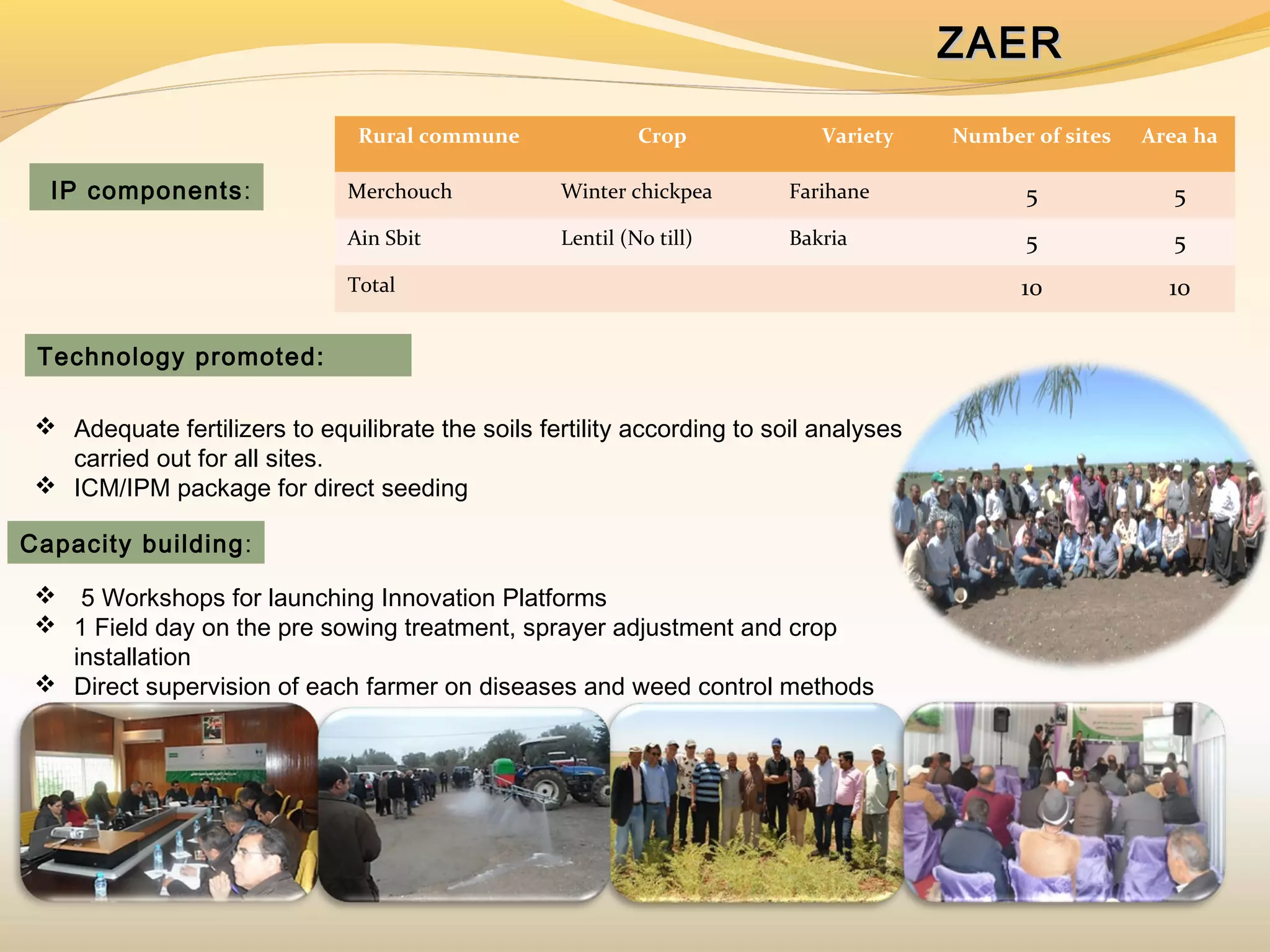 IP components:
  5 Workshops for launching Innovation Platforms
 1 Field day on the pre sowing treatment, sprayer adjustment and crop
installation
 Direct supervision of each farmer on diseases and weed control methods
ZAERZAER
Technology promoted:
 Adequate fertilizers to equilibrate the soils fertility according to soil analyses
carried out for all sites.
 ICM/IPM package for direct seeding
Capacity building:
Rural commune Crop Variety Number of sites Area ha
Merchouch Winter chickpea Farihane 5 5
Ain Sbit Lentil (No till) Bakria 5 5
Total 10 10
 