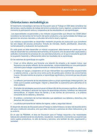 ÁREAS CURRICULARES
Orientaciones metodológicas
El tratamiento metodológico del área de Educación para el Trabajo en EBA debe considerar las
demandas y oportunidades de trabajo del entorno productivo local y regional, y propiciar en todo
momento la participación activa y cooperativa de los estudiantes en sus aprendizajes.
Las especialidades ocupacionales y los módulos ocupacionales que ofrecen los CEBA deben
considerar las demandas de formación del sector productivo y las oportunidades de trabajo que
generan los recursos naturales y culturales del entorno local y regional.
Los módulos ocupacionales se desarrollan mediante proyectos de producción que consideren
las seis etapas del proceso productivo: Estudio de mercado, diseño, planificación, desarrollo,
comercialización y evaluación de la producción.
En cada grado se debe desarrollar un módulo ocupacional, debe tenerse en cuenta que no se
trata de desarrollar los contenidos teóricamente y en la pizarra, sino de desarrollar capacidades y
actitudes vivenciando los procesos de una actividad productiva, en la que el estudiante aprende
la ocupación haciendo y reflexionando sobre los resultados de su aprendizaje.
En las sesiones de aprendizaje se sugiere:
Crear un clima afectivo que fomente una relación de empatía y de respeto mutuo, que
favorezca una amplia reflexión de los estudiantes, comprometiéndolos en una participación
voluntaria para trabajar cooperativamente en interacciones de aprendizaje.
El trabajo en equipo y cooperativo en el que intercambien sus experiencias ocupacionales
y saberes previos, y que les sirva como punto de partida para construir los conocimientos
nuevos. De esta manera se propicia un aprendizaje significativo y funcional que sea útil para
la vida.
La reflexión permanente de los estudiantes sobre su propio aprendizaje (metacognición), de
modo que lo puedan autorregular, mejorar y desarrollar su autonomía para aplicarlos en la
vida cotidiana.
El empleo de estrategias que promuevan el desarrollo de los procesos cognitivos, afectivos y
motores, orientados a alcanzar los logros de aprendizaje previstos, fortalecer las relaciones
democráticas, el respeto hacia los demás y a las normas de convivencia, y la práctica
consciente de los deberes y derechos.
El análisis y comentario de normas laborales que establecen sus deberes y derechos y los
derechos del consumidor.
La práctica permanente de hábitos de higiene, orden y seguridad laboral.
El desarrollo del área de Educación para el Trabajo no debe limitarse a la labor del docente dentro
del aula e institución educativa, sino que debe involucrar a personas de otras instituciones y de
su entorno.
En el caso de PEBANA, el área de Educación para el Trabajo responde a las necesidades
básicas de subsistencia de los estudiantes, rescatando, revalorando y recreando sus experiencias
como sujetos productivos, no sólo de bienes y servicios, sino también de vida, organización y
sociedad.
•
•
•
•
•
•
Ministerio de Educación 233
 