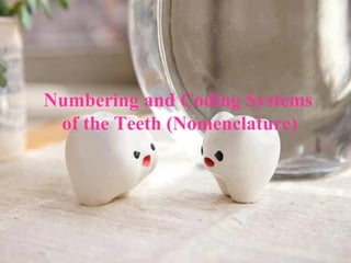 Numbering and Coding Systems
 of the Teeth (Nomenclature)
 
