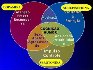 Motivação   COGNIÇÃO   HUMOR Ansiedade Irritabilidade Sexo Apetite Agressividade  Atenção Prazer Recompensa Vigilância Energia Impulso Controle DOPAMINA NOREPINEFRINA  SEROTONINA  