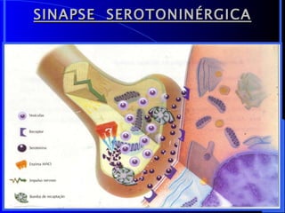 SINAPSE  SEROTONINÉRGICA (situação normal) 
