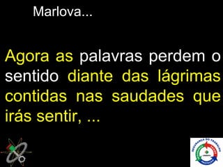 Marlova...


Agora as palavras perdem o
sentido diante das lágrimas
contidas nas saudades que
irás sentir, ...
 