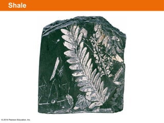 Detritic Rocks Detrital Sedimentary Rocks and what makes them | PPTX