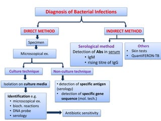 2- Diagnosis of inf. and staining.ppt