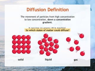 2-diffusion-powerpoint-2.pptxpower point | PPTX