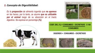 2-_DIGESTIBILIDAD_2022.pptx