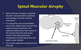Motor Neuron Diseases | PPTX