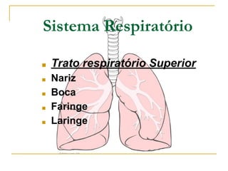 Sistema Respiratório
■ Trato respiratório Superior
■ Nariz
■ Boca
■ Faringe
■ Laringe
 