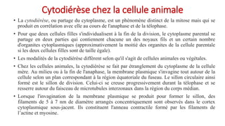 Cytodiérèse chez la cellule animale
• La cytodiérèse, ou partage du cytoplasme, est un phénomène distinct de la mitose mais qui se
produit en corrélation avec elle au cours de l'anaphase et de la télophase.
• Pour que deux cellules filles s'individualisent à la fin de la division, le cytoplasme parental se
partage en deux parties qui contiennent chacune un des noyaux fils et un certain nombre
d'organites cytoplasmiques (approximativement la moitié des organites de la cellule parentale
si les deux cellules filles sont de taille égale).
• Les modalités de la cytodiérèse diffèrent selon qu'il s'agit de cellules animales ou végétales.
• Chez les cellules animales, la cytodiérèse se fait par étranglement du cytoplasme de la cellule
mère. Au milieu ou à la fin de l'anaphase, la membrane plasmique s'invagine tout autour de la
cellule selon un plan correspondant à la région équatoriale du fuseau. Le sillon circulaire ainsi
formé est le sillon de division. Celui-ci se creuse progressivement durant la télophase et se
resserre autour du faisceau de microtubules interzonaux dans la région du corps médian.
• Lorsque l'invagination de la membrane plasmique se produit pour former le sillon, des
filaments de 5 à 7 nm de diamètre arrangés concentriquement sont observés dans le cortex
cytoplasmique sous-jacent. Ils constituent l'anneau contractile formé par les filaments de
l’actine et myosine.
 