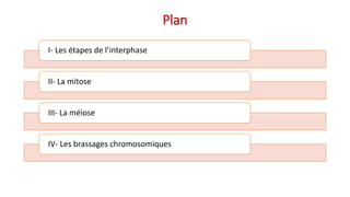 Plan
I- Les étapes de l’interphase
II- La mitose
III- La méiose
IV- Les brassages chromosomiques
 