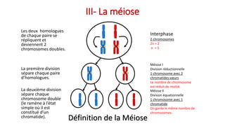 Les deux homologues
de chaque paire se
répliquent et
deviennent 2
chromosomes doubles.
Interphase
2 chromosomes
2n = 2
n = 1
La première division
sépare chaque paire
d’homologues.
Méiose I
Division réductionnelle
1 chromosome avec 2
chromatides sœurs
Le nombre de chromosome
est réduit de moitié.
La deuxième division
sépare chaque
chromosome double
(le ramène à l’état
simple où il est
constitué d’un
chromatide).
Méiose II
Division équationnelle
1 chromosome avec 1
chromatide
On garde le même nombre de
chromosomes.
Définition de la Méiose
III- La méiose
 