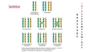 B
R
A
S
S
A
G
E
I
N
T
R
A
C
H
R
O
M
R
S
O
M
I
Q
U
E
Synthèse
 