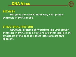 Comprehensive Overview of Human DNA Viruses: Types, Replication, and ...