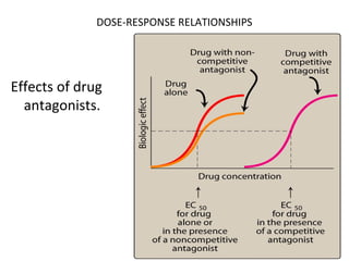 DOSE-RESPONSE RELATIONSHIPS




Effects of drug
  antagonists.
 