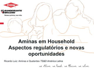Dow.com 
Aminas em Household 
Aspectos regulatórios e novas oportunidades 
Ricardo Luiz: Aminas e Quelantes TS&D América Latina  