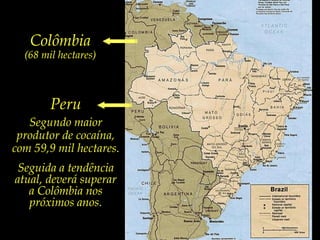 Colômbia(68 mil hectares)Peru Segundo maior produtor de cocaína, com 59,9 mil hectares.Seguida a tendência atual, deverá superara Colômbia nos próximos anos. 