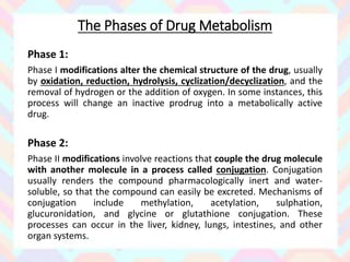 2 - DRUG METABOLISM 2023.pptx