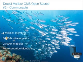 Drupal Meilleur CMS Open Source
#2 - Communauté

1	
  Million+	
  membres
30	
  000+	
  développeurs
25	
  000+	
  Modules
Représentation	
  Mondiale

19

©	
  Song	
  Heming	
  -­‐	
  

 