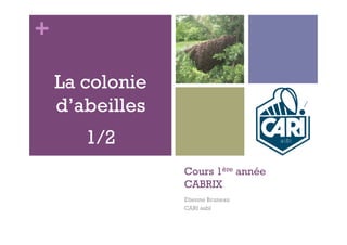 +

    La colonie
    d’abeilles
       1/2
                 Cours 1ère année
                 CABRIX
                 Etienne Bruneau
                 CARI asbl
 