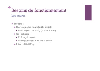 +
    Besoins de fonctionnement
    Les sucres

        Besoins :
             Thermogénèse pour abeille sociale
                  Hivernage : 19 - 25 kg (si T° -4 à 7 °C)
             Vol (butinage)
                  11,5 mg/h de vol
                  138 mg/jour (10 h de vol + autres)
             Totaux : 60 - 80 kg
 