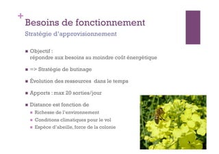 +
    Besoins de fonctionnement
    Stratégie d’approvisionnement

        Objectif :
         répondre aux besoins au moindre coût énergétique

        => Stratégie de butinage

        Évolution des ressources dans le temps

        Apports : max 20 sorties/jour

        Distance est fonction de
             Richesse de l’environnement
             Conditions climatiques pour le vol
             Espèce d’abeille, force de la colonie
 